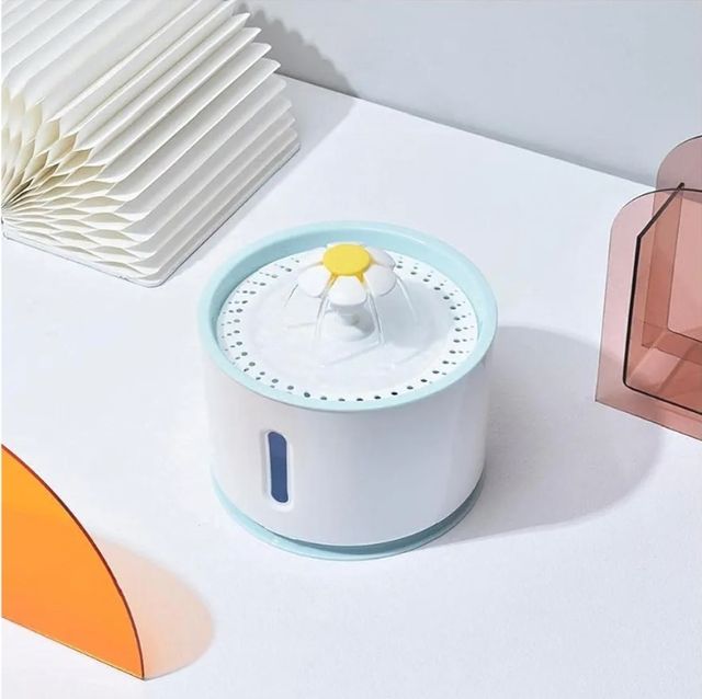 Fonte de água para animais de estimação