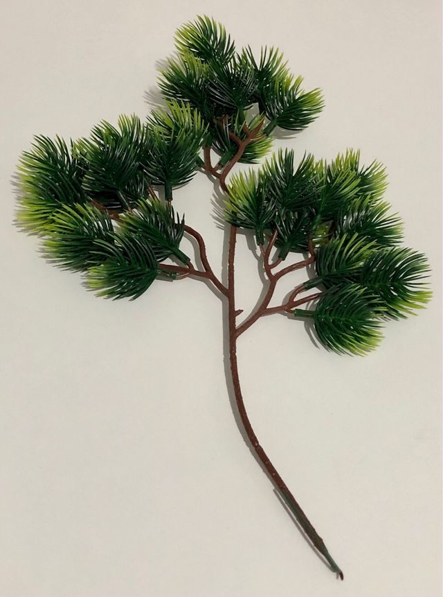 Rametto di verde natalizio