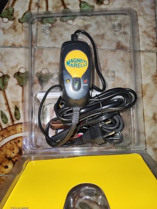 Caricabatteria magneti marelli