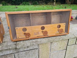 Vendita di due trasportini per uccelli