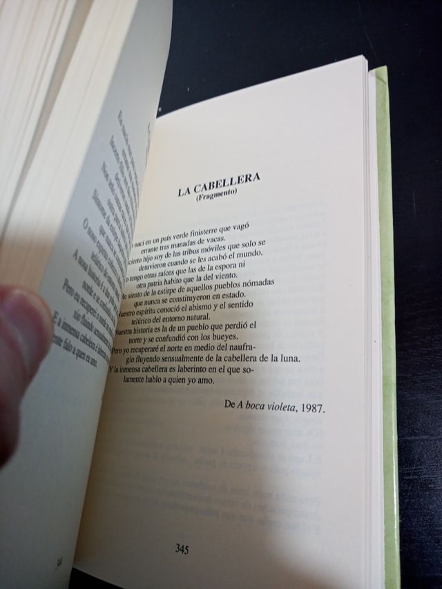 Fin de un milenio. Antología de poesía gallega.