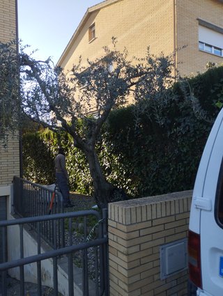Jardinero profesional