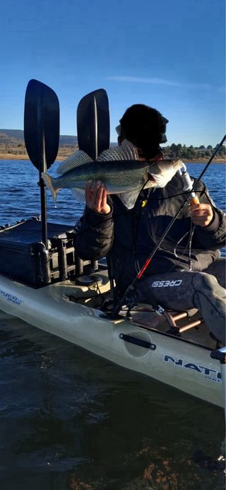 Kayak Native Propel 13