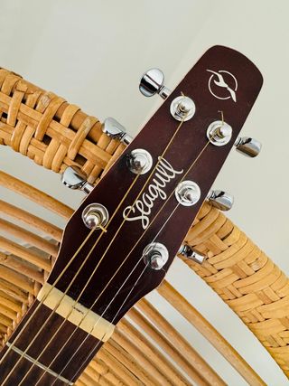 Seagull Entourage Autumn Burst QIT