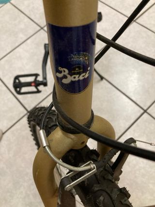 mountain bike Baci Perugina
