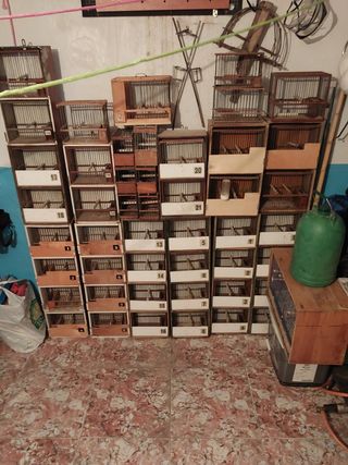 Jaulas de pajaros