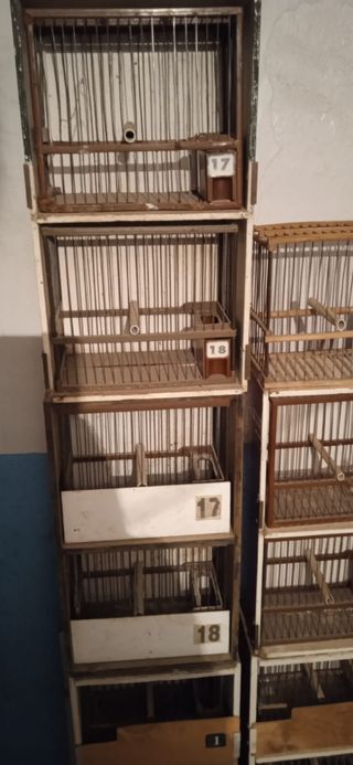 Jaulas de pajaros