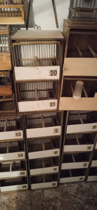 Jaulas de pajaros
