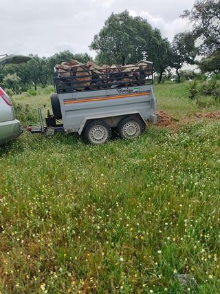 Vendo leña de encina para estufas y chimeneas.