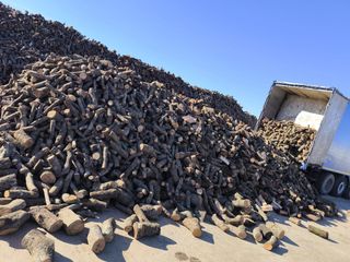 Vendo leña de encina para estufas y chimeneas.