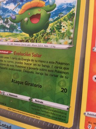 Cartas Pokemon