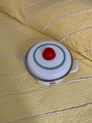 Pentola decorata per tutti tipi di fornelli