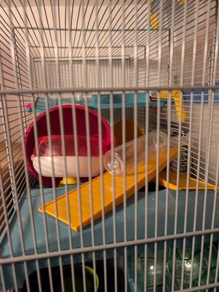 Jaula hamster con TODO (excepto hamster)