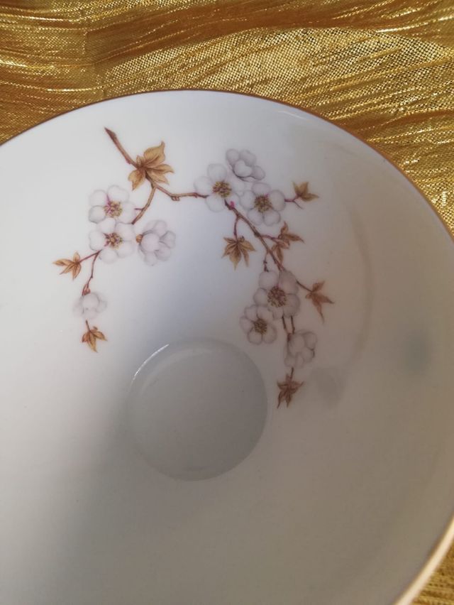 Servizio da tè Eschenbach Baviera