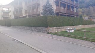 Jardinero profesional