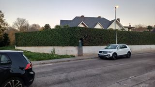 Jardinero profesional