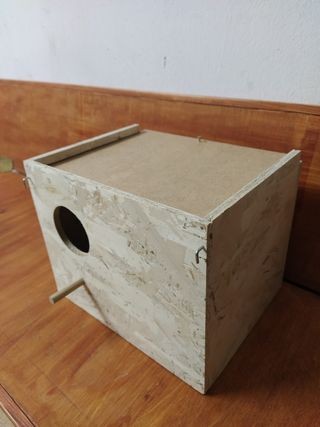 Nido x pappagalli calopsite