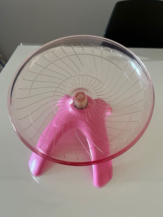 Rueda silenciosa roedores