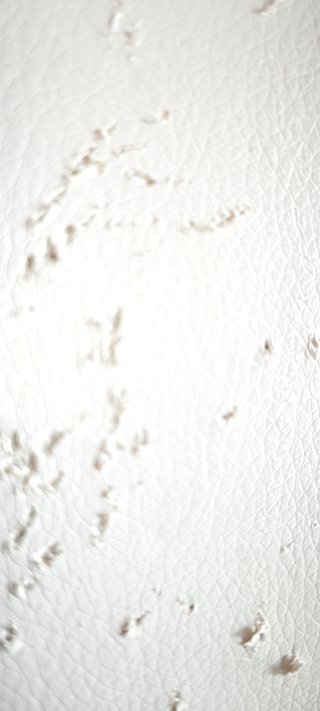 Sillas modernas con patas metálicas (3 + 1 gratis)