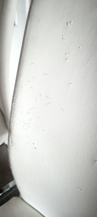 Sillas modernas con patas metálicas (3 + 1 gratis)