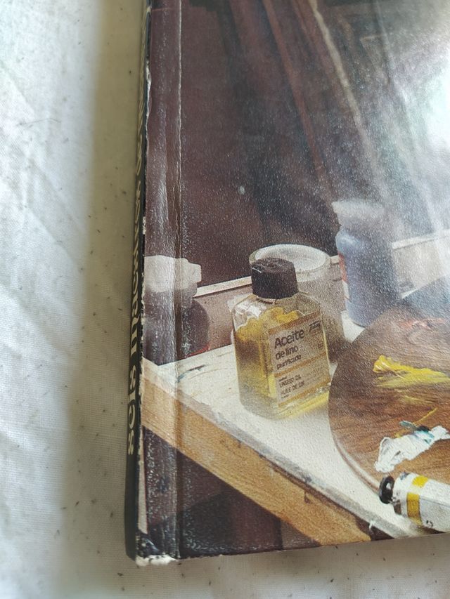 Seis maestros de la pintura