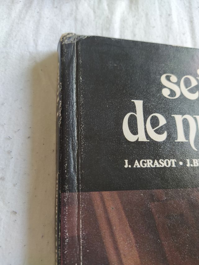 Seis maestros de la pintura