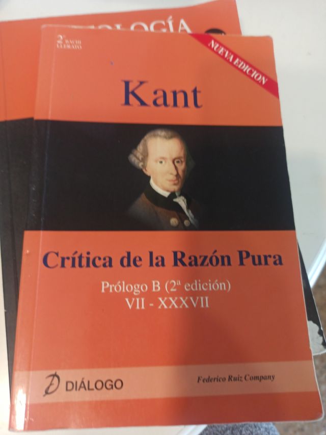 PLATÓN. La República: libro VI (18-21 desde 506b), libro VII (1-5 hasta 521b) (HISTORIA DE LA FILOSOFÍA) (Spanish Edition)