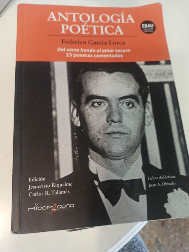 PLATÓN. La República: libro VI (18-21 desde 506b), libro VII (1-5 hasta 521b) (HISTORIA DE LA FILOSOFÍA) (Spanish Edition)