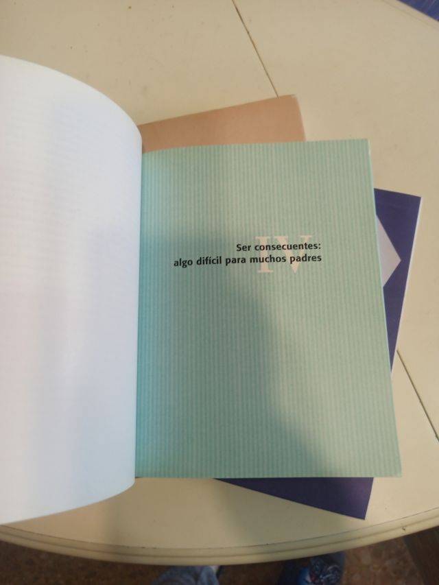 LIMITES A LOS NIÑOS (NIÑOS Y ADOLESCENTES) (Spanish Edition)