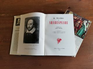 2 LIBRI 'IL TEATRO DI SHAKESPEARE'