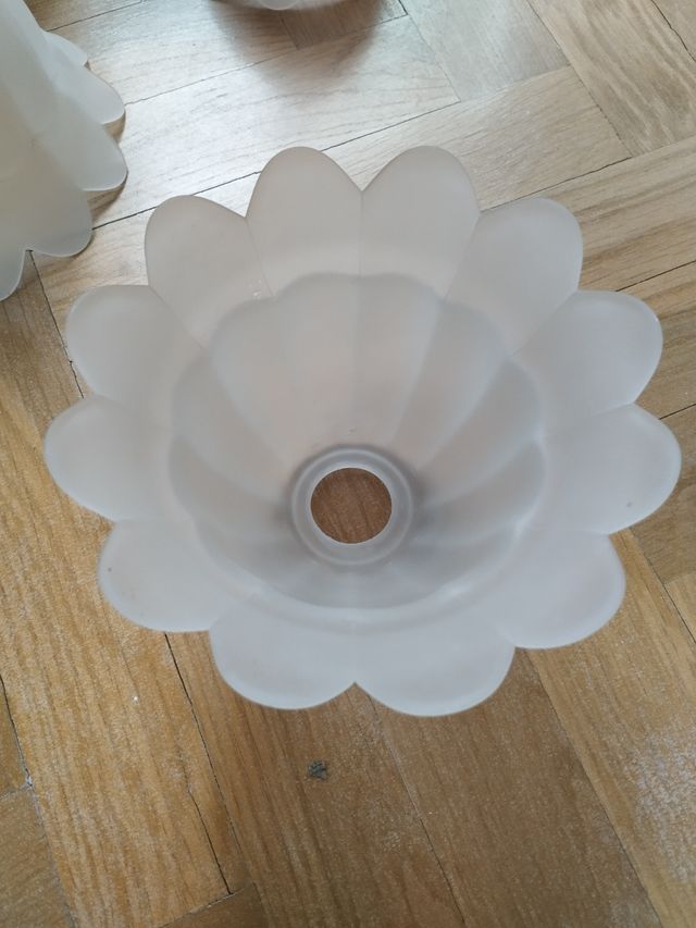 Tulipas para lámpara