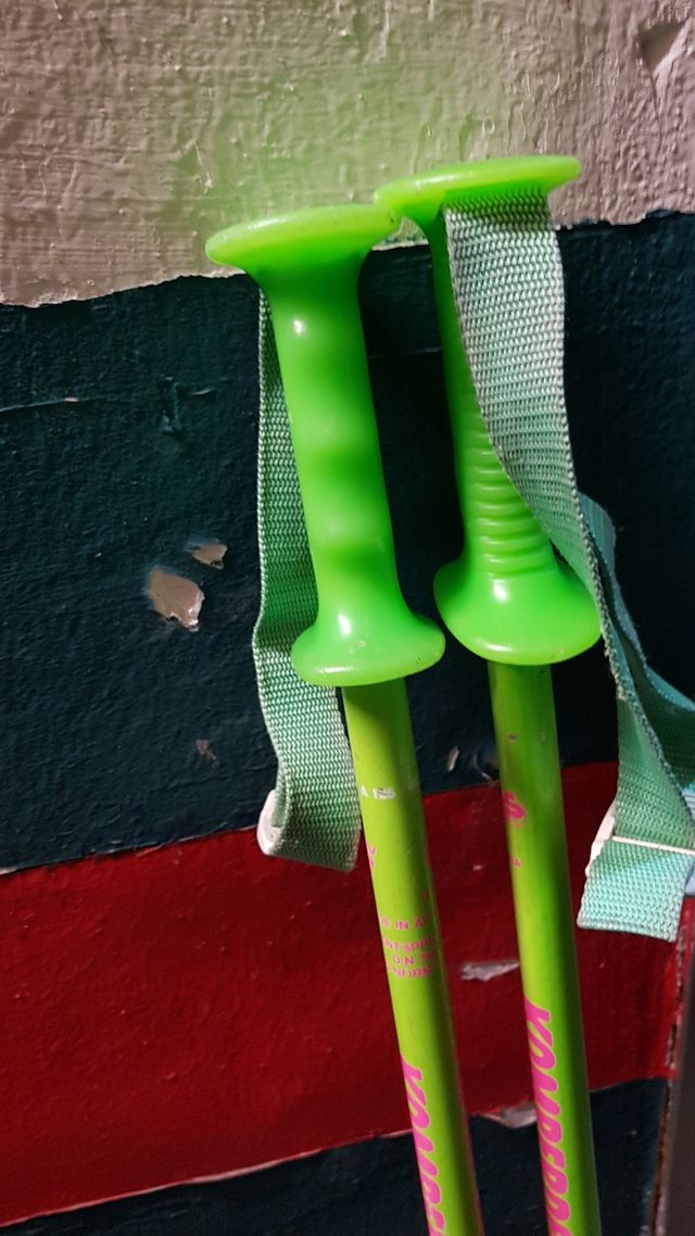 Esquis Fisher con palos.