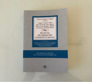 Manual de Derecho Constitucional: Vol. I
