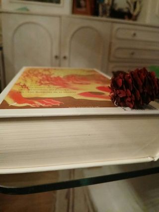 Libro Harry Potter n.7