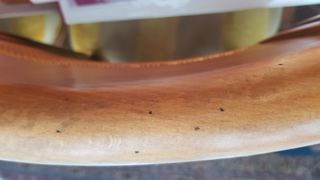 Sillas comedor restaurar