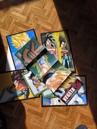 Portafolio Dragon Ball GT + maxi-files pack