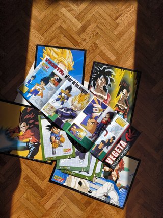 Portafolio Dragon Ball GT + maxi-files pack