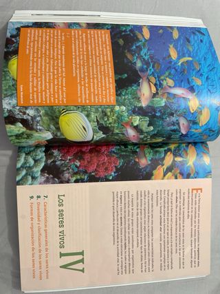 Biología y Geología 1º Bachillerato Tesela