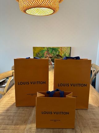 Lote bolsas Louis Vuitton