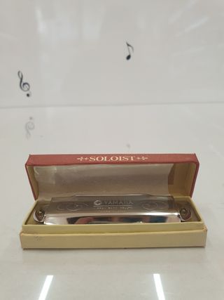 Armoniche da 15€ accordatura in Do (C)