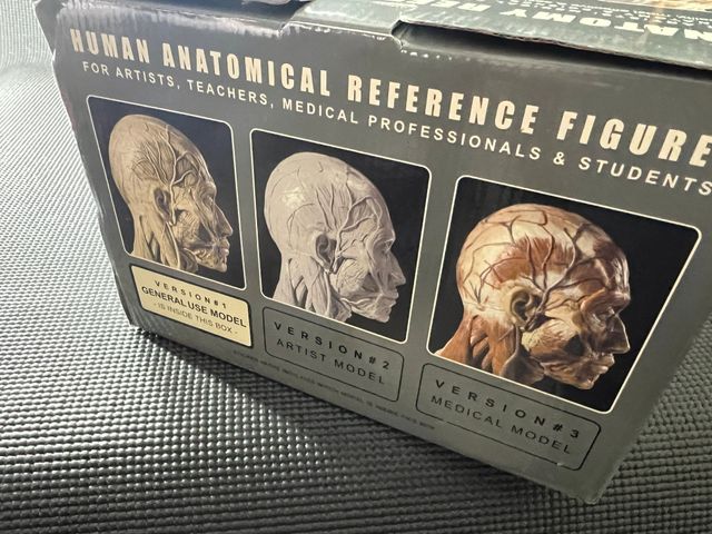 Figura humana referencia de Anatomía 70cm