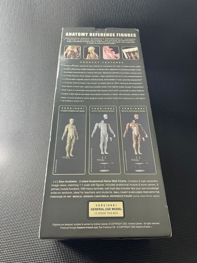 Figura humana referencia de Anatomía 70cm