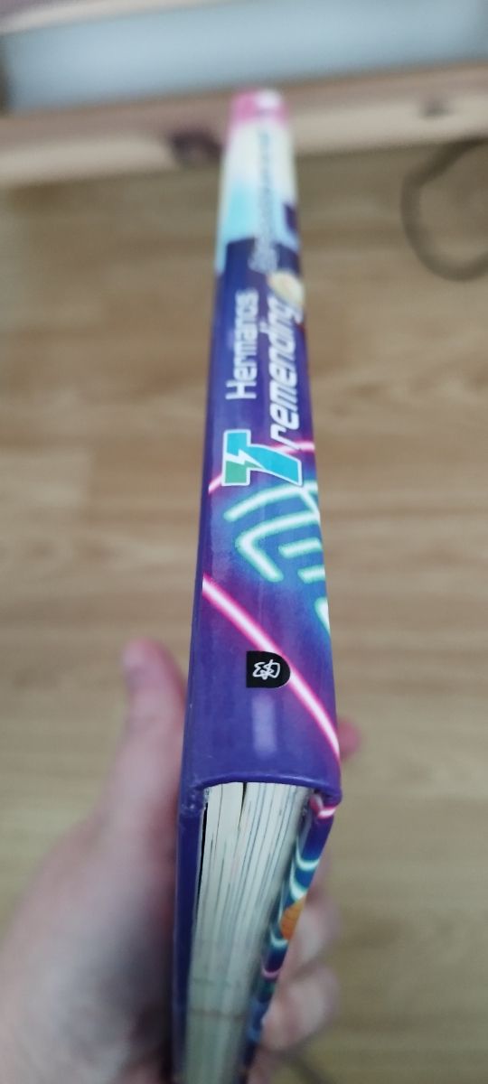 Hermanos Tremending 2. Atrapados en la red