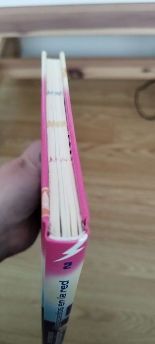 Hermanos Tremending 2. Atrapados en la red