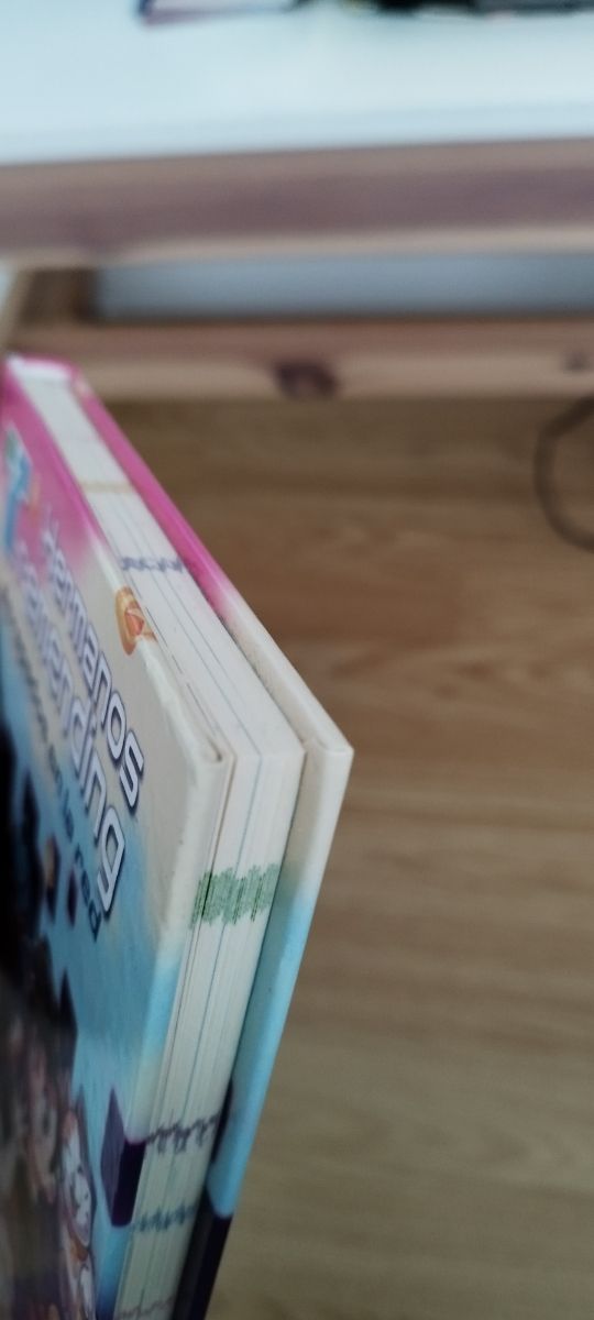 Hermanos Tremending 2. Atrapados en la red