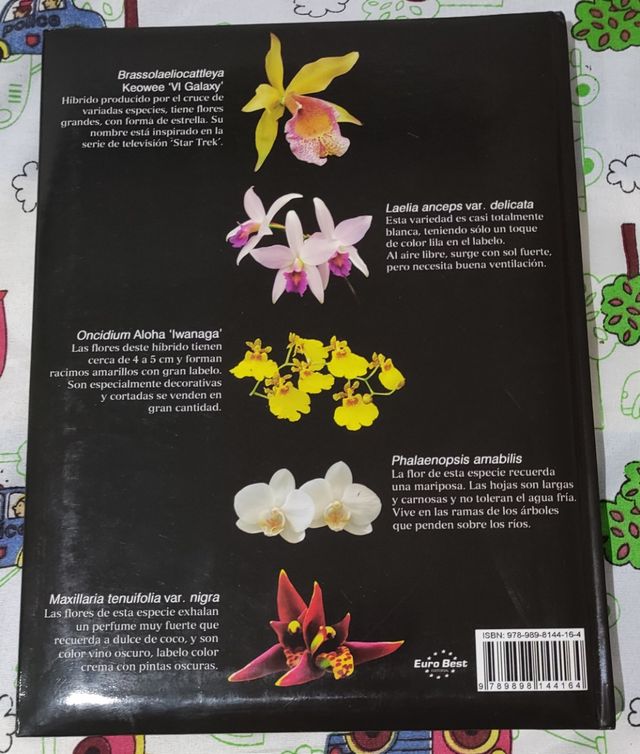 101 orquideas secretos de cultivo