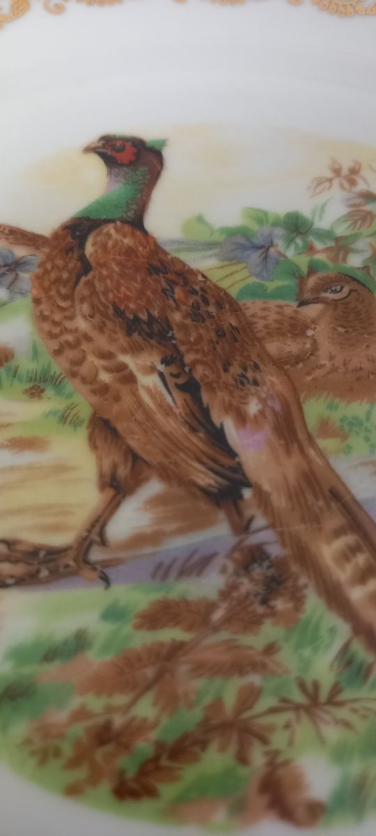 Plato porcelana francesa 23 cm faisán