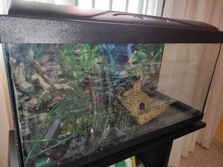 Pecera 100 litros