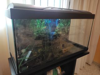 Pecera 100 litros