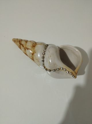 Conchiglia con strass